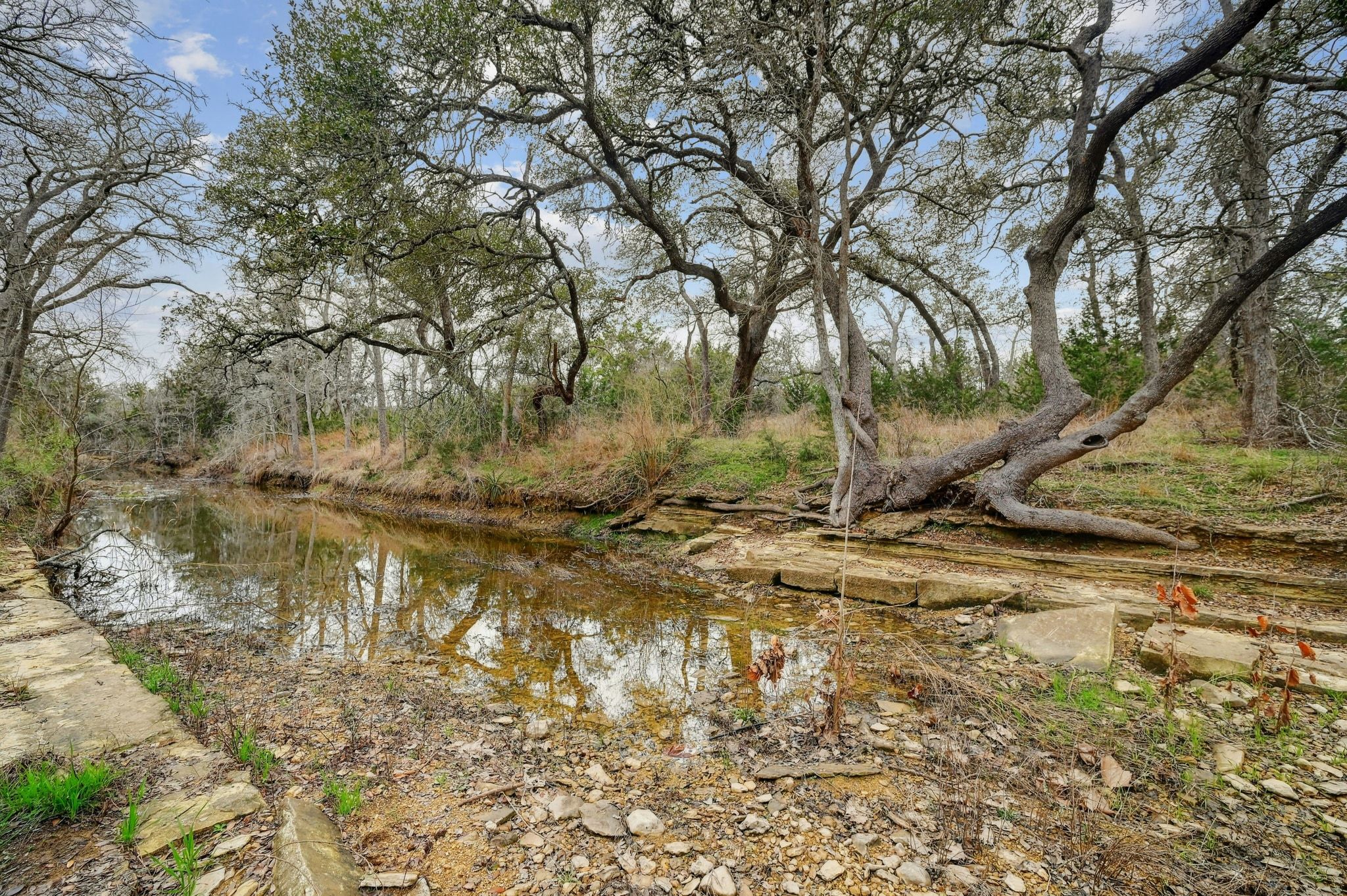 2147 Tejas Trail Blanco, TX 78606 - Photo 26 of 29 a backyard of a house with a yard and large tree