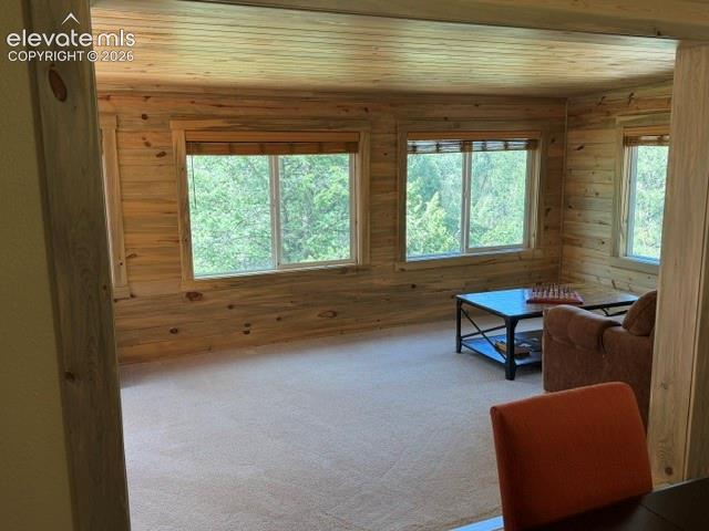 269 Southpark Road Florissant, CO 80816 - Photo 30 of 37