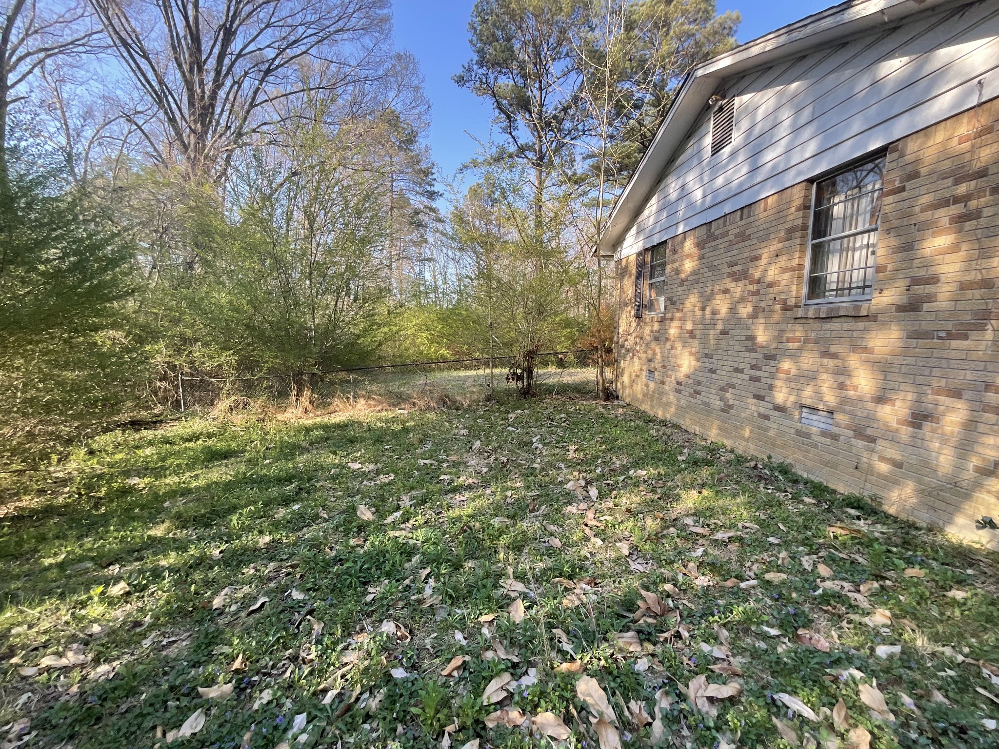 1035 Rube Scott Road Grand Junction, TN 38039 - Photo 8 of 22 a view of a yard with a tree