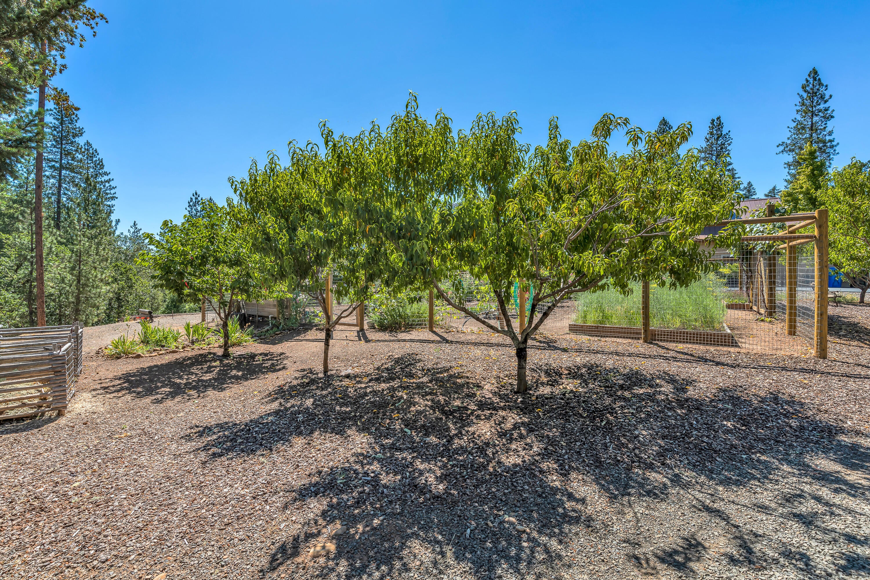 68 Busch Road Trail, OR 97541 - Photo 60 of 75 9R9A0862