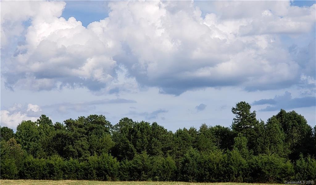 0 Hawks Nest Road York, SC 29745 - Photo 11 of 32 a view of a big yard with lots of green space