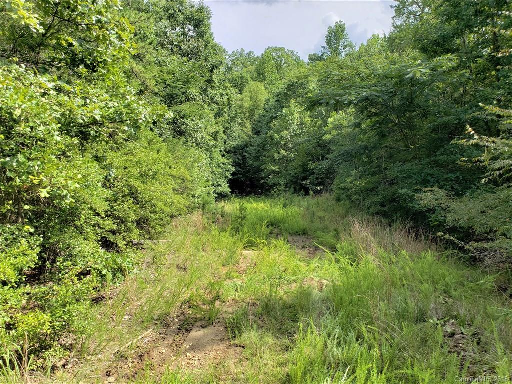 0 Hawks Nest Road York, SC 29745 - Photo 13 of 32 a view of a lush green forest with lots of trees