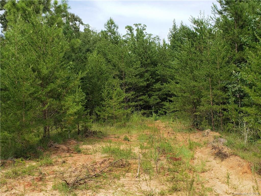 0 Hawks Nest Road York, SC 29745 - Photo 14 of 32 a view of a yard
