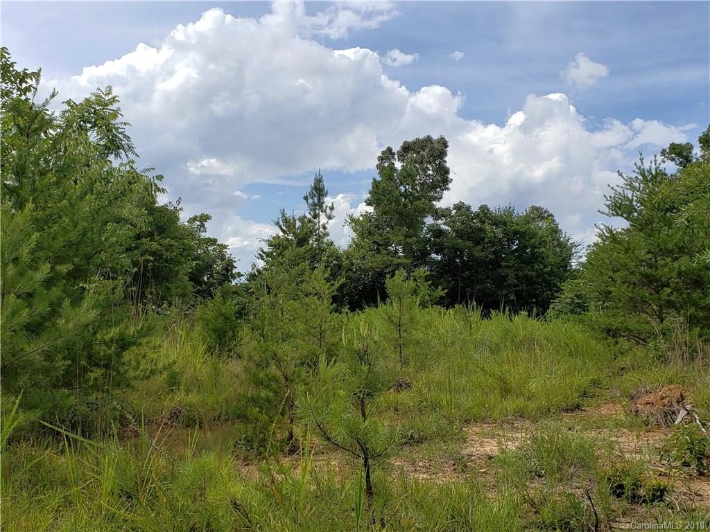 0 Hawks Nest Road York, SC 29745 - Photo 15 of 32 a view of a bunch of trees in background