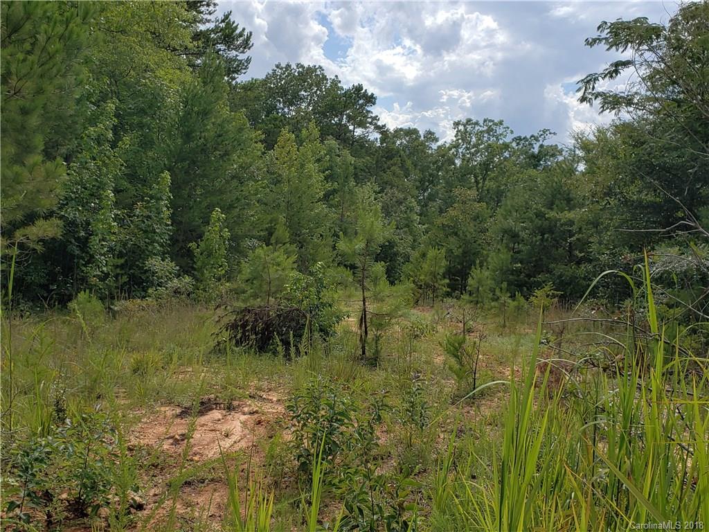 0 Hawks Nest Road York, SC 29745 - Photo 16 of 32 a view of a lush green forest with lots of trees