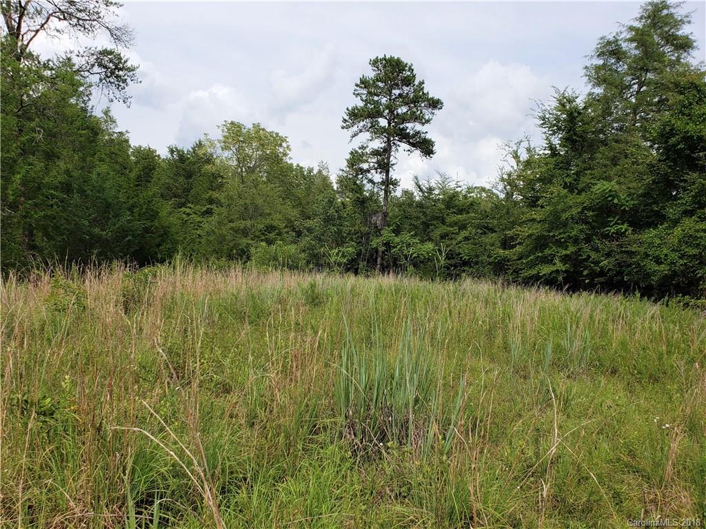 0 Hawks Nest Road York, SC 29745 - Photo 17 of 32 a view of lake with green space