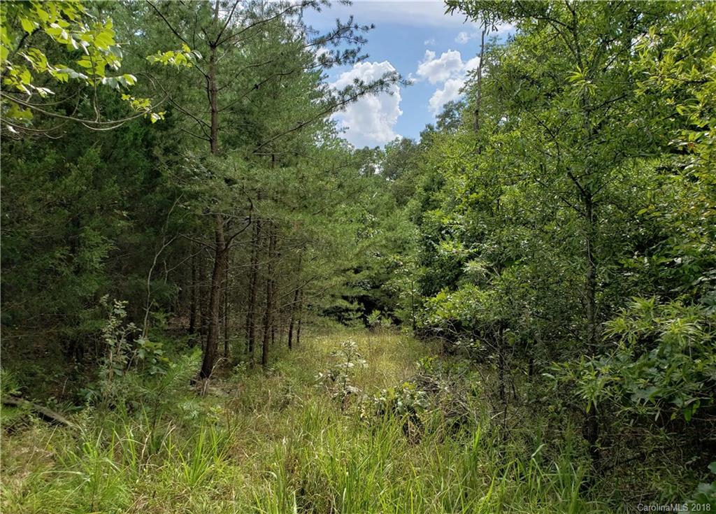 0 Hawks Nest Road York, SC 29745 - Photo 18 of 32 a view of a yard