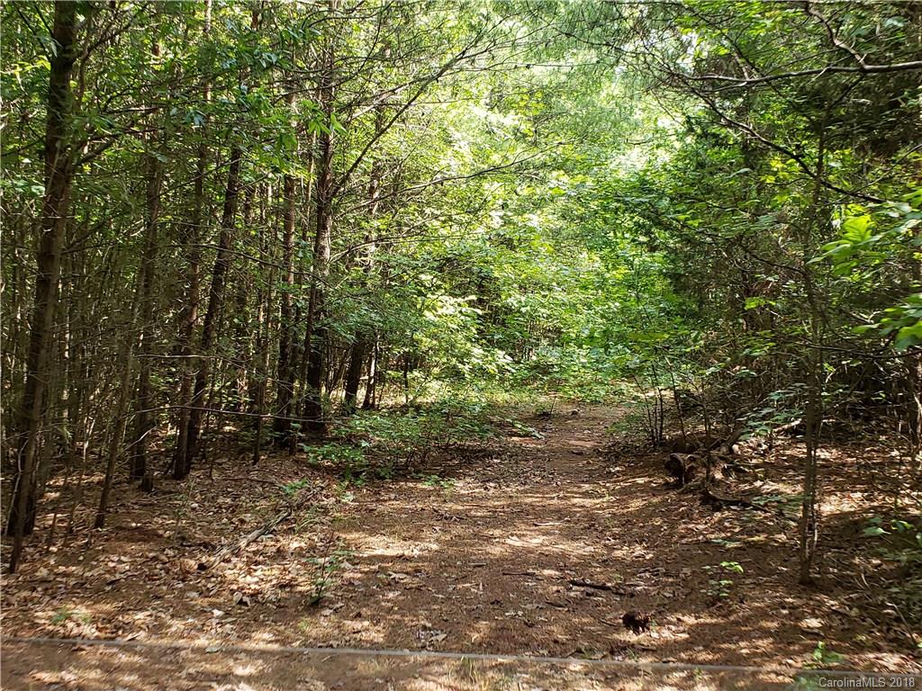 0 Hawks Nest Road York, SC 29745 - Photo 19 of 32 a big yard with lots of green space and house view