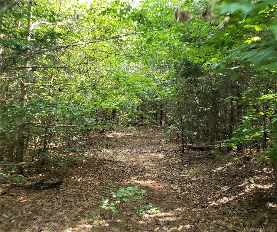 0 Hawks Nest Road York, SC 29745 - Photo 20 of 32 a view of a plants with yard
