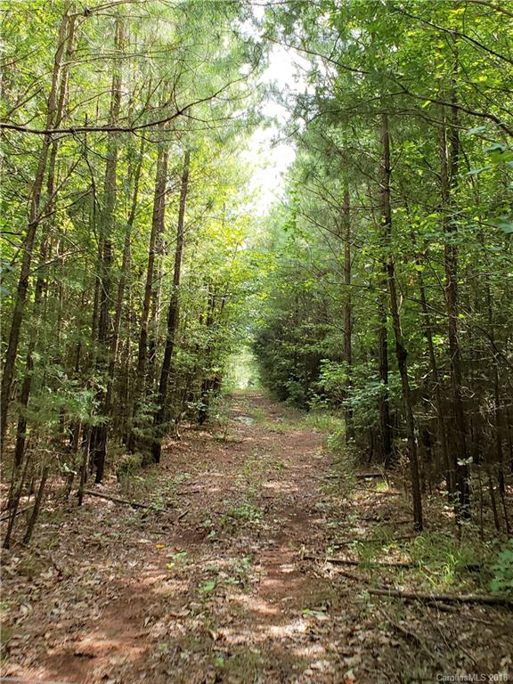 0 Hawks Nest Road York, SC 29745 - Photo 21 of 32 a big yard with lots of green space and trees
