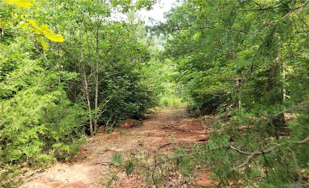 0 Hawks Nest Road York, SC 29745 - Photo 22 of 32 a view of a forest with lots of trees