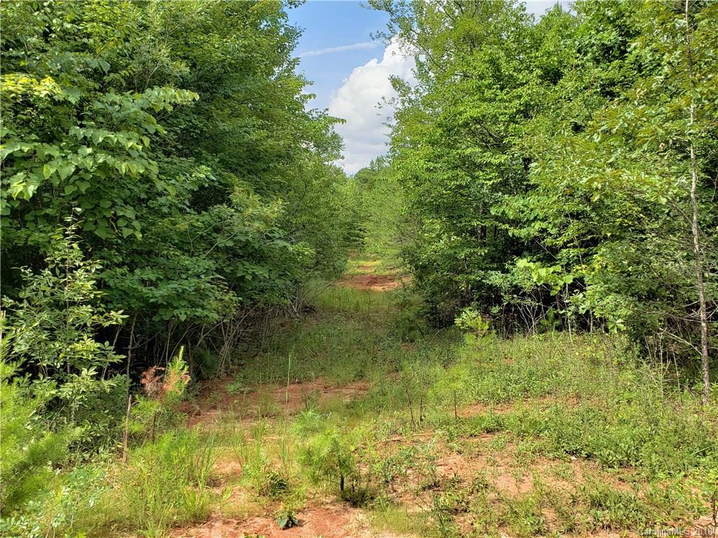 0 Hawks Nest Road York, SC 29745 - Photo 23 of 32 a view of a lake view