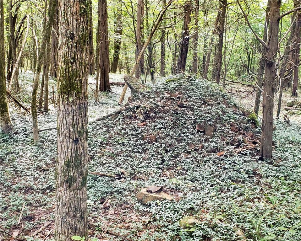 0 Hawks Nest Road York, SC 29745 - Photo 24 of 32 a view of a yard with plants and trees