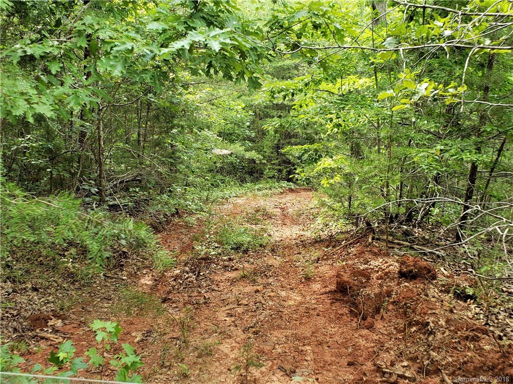 0 Hawks Nest Road York, SC 29745 - Photo 26 of 32 a view of a lush green forest with large trees