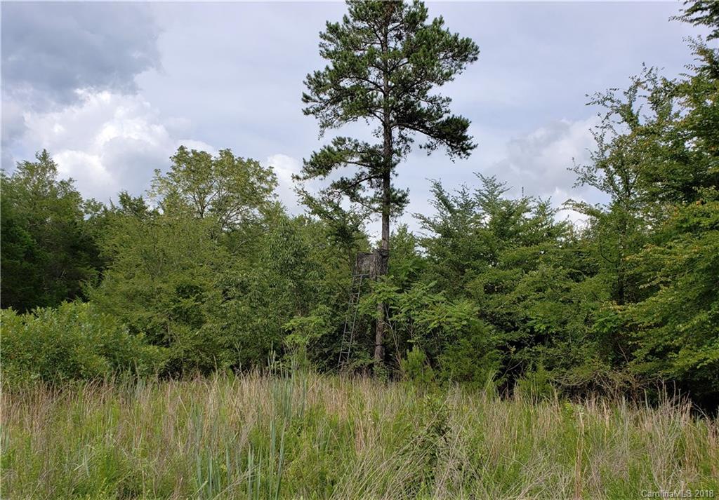 0 Hawks Nest Road York, SC 29745 - Photo 27 of 32 a view of a lake view