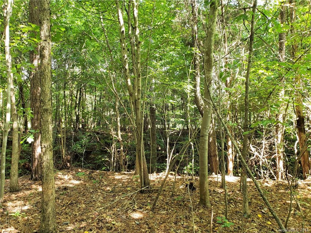0 Hawks Nest Road York, SC 29745 - Photo 28 of 32 a view of outdoor space and a yard