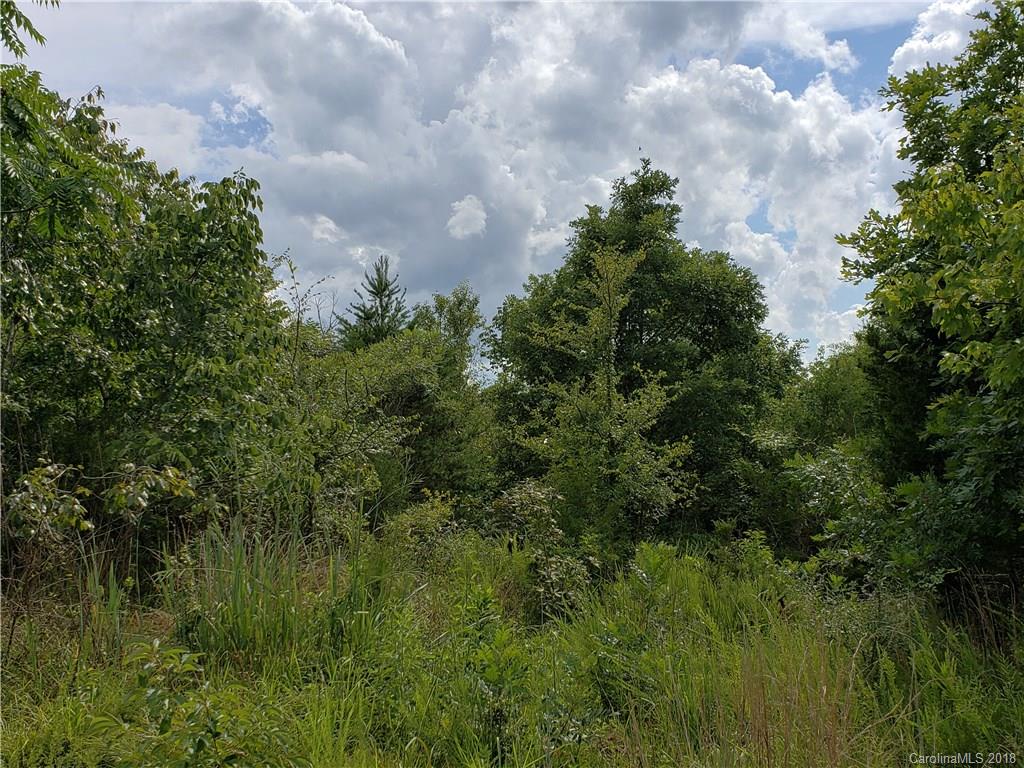 0 Hawks Nest Road York, SC 29745 - Photo 29 of 32 a view of a garden