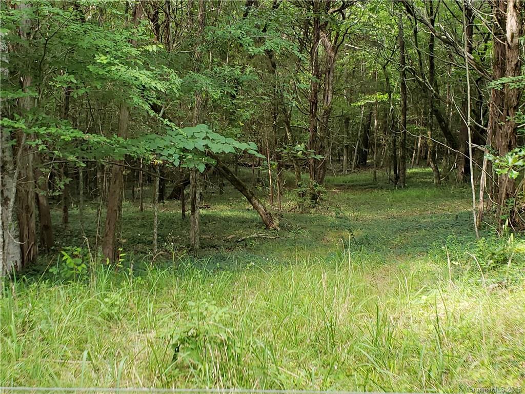 0 Hawks Nest Road York, SC 29745 - Photo 30 of 32 a backyard of a house with lots of green space and lake view
