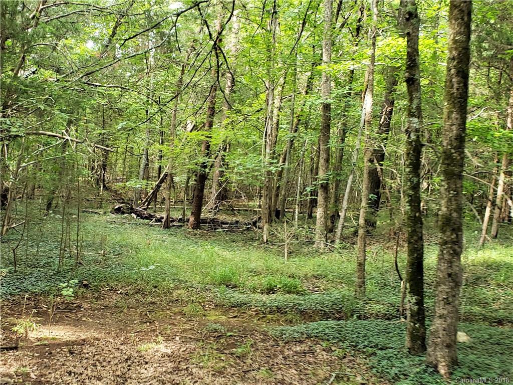 0 Hawks Nest Road York, SC 29745 - Photo 31 of 32 a view of a lush green forest