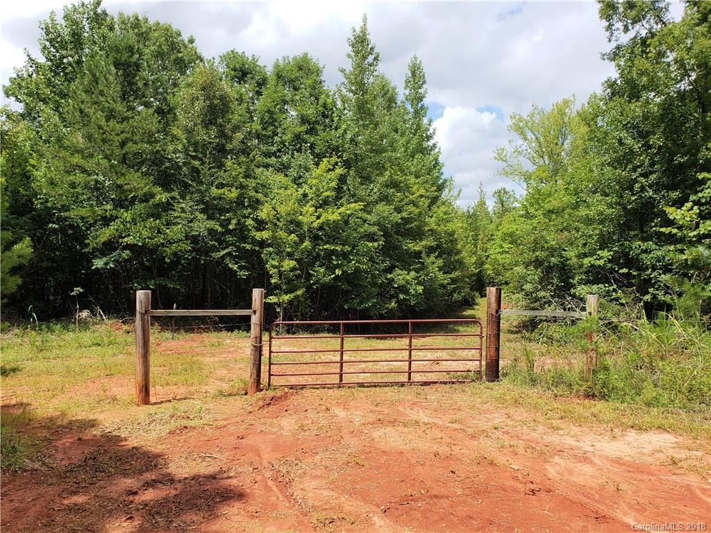 0 Hawks Nest Road York, SC 29745 - Photo 5 of 32 a view of a yard with potted plants