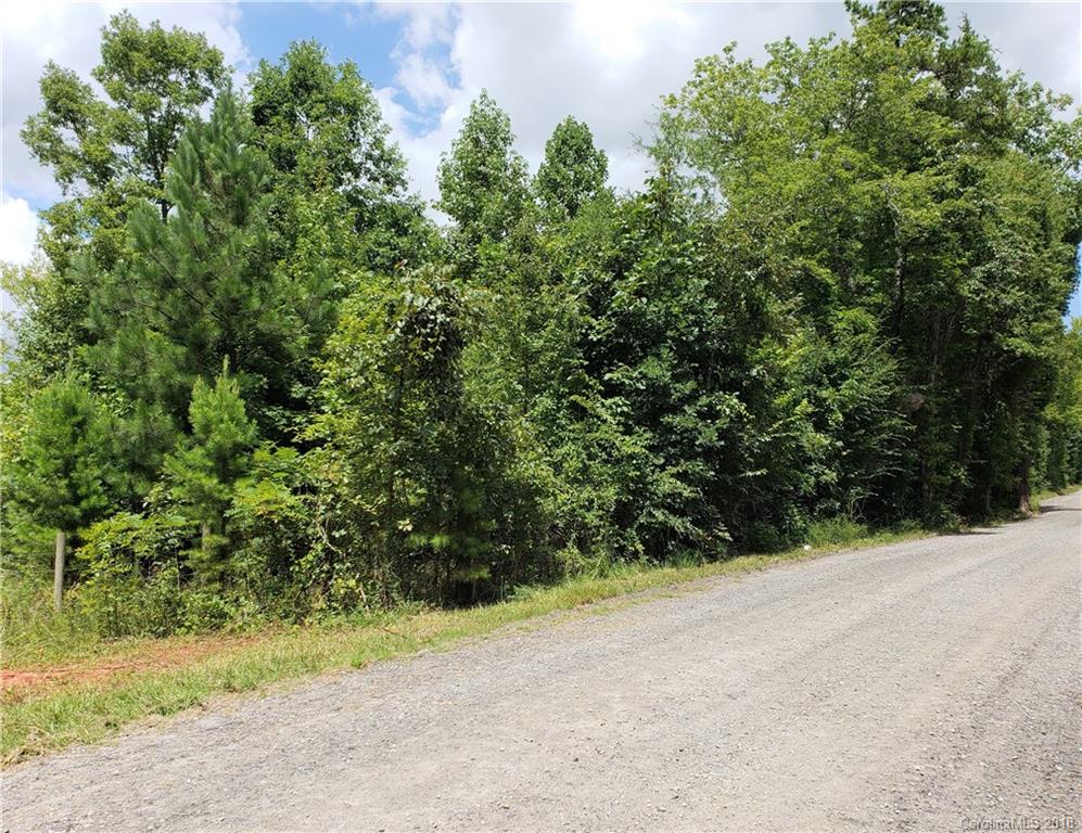 0 Hawks Nest Road York, SC 29745 - Photo 7 of 32 a view of a yard with plants and trees