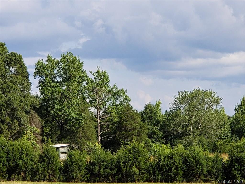 0 Hawks Nest Road York, SC 29745 - Photo 8 of 32
