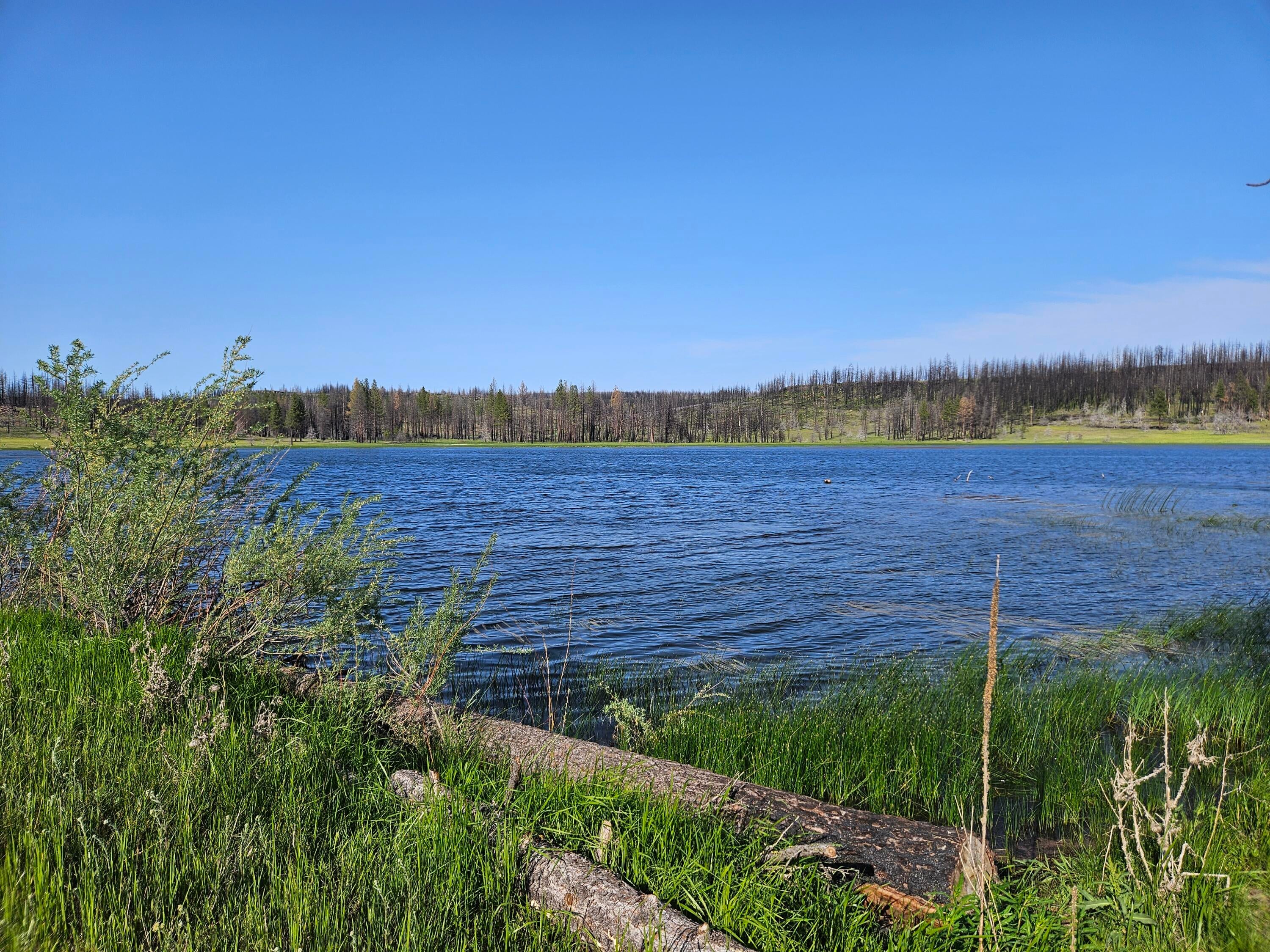 8 Parazoo Trail Bly, OR 97622 - Photo 24 of 27 community pond