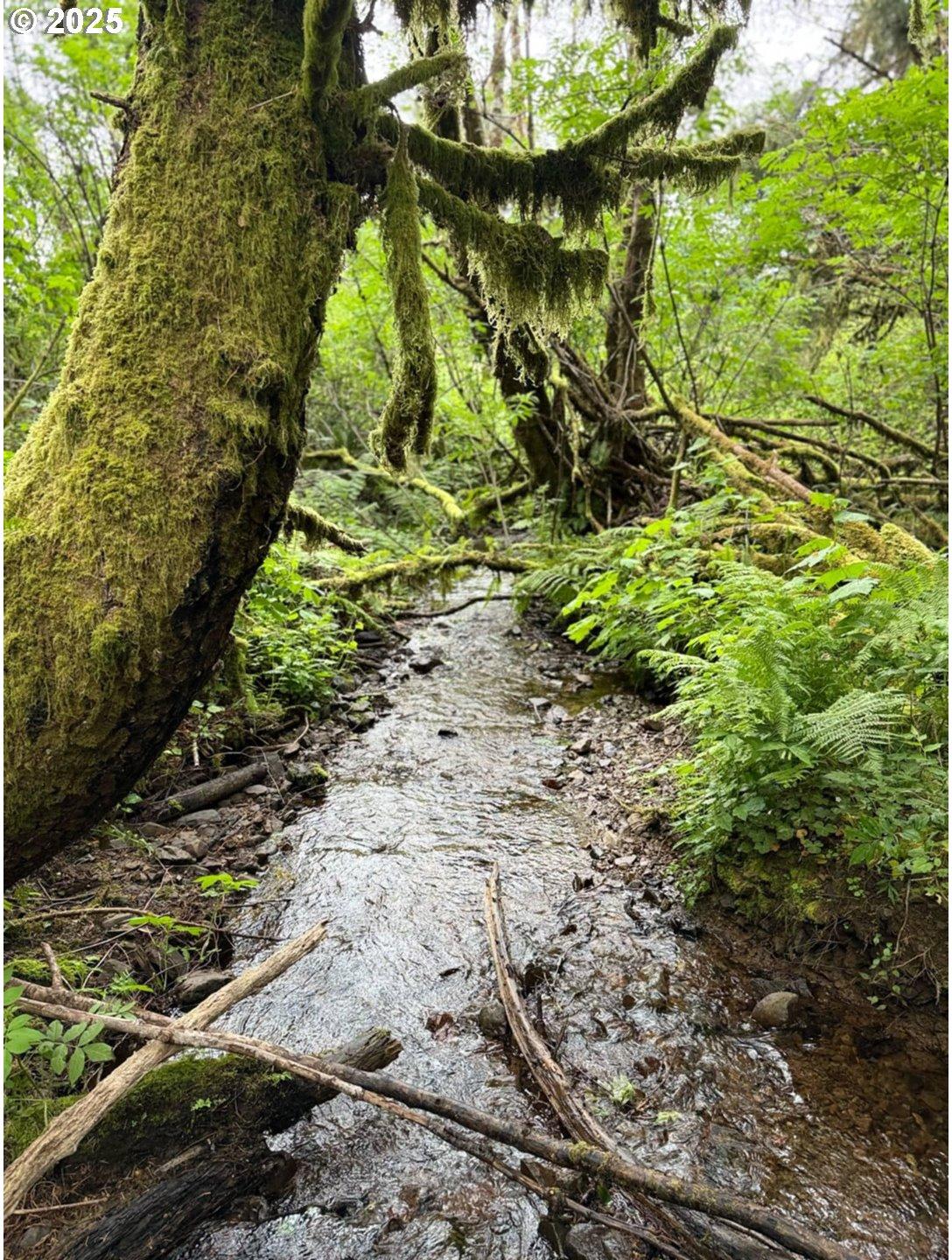 Elk River Road Port Orford, OR 97465 - Photo 18 of 22 Gallery Image 18