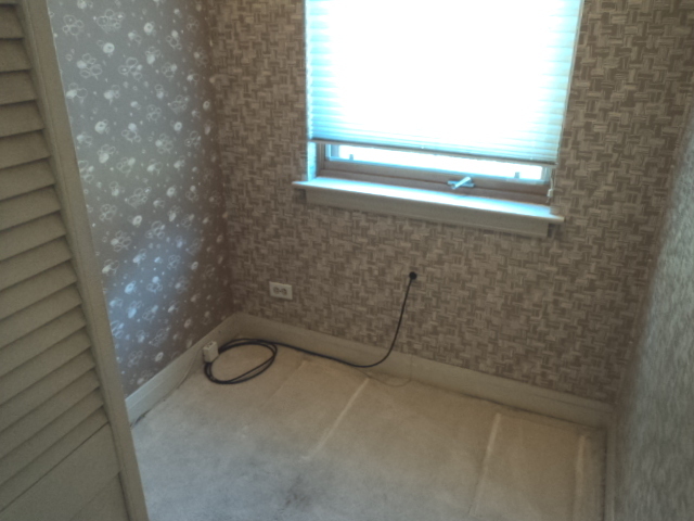 161 Gage Road Riverside, IL 60546 - Photo 15 of 32 a bathroom with a shower