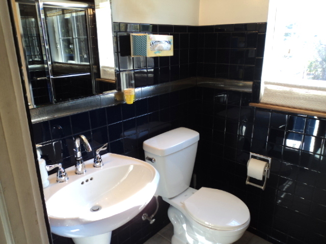 161 Gage Road Riverside, IL 60546 - Photo 21 of 32 a bathroom with a sink a toilet and shower