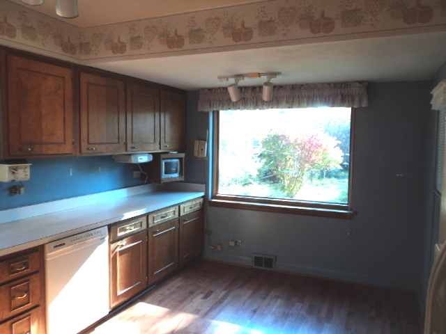 161 Gage Road Riverside, IL 60546 - Photo 5 of 32 a kitchen with stainless steel appliances granite countertop a sink a stove and a wooden floors