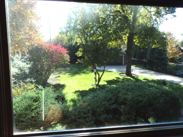 161 Gage Road Riverside, IL 60546 - Photo 6 of 32 a view of swimming pool from a window