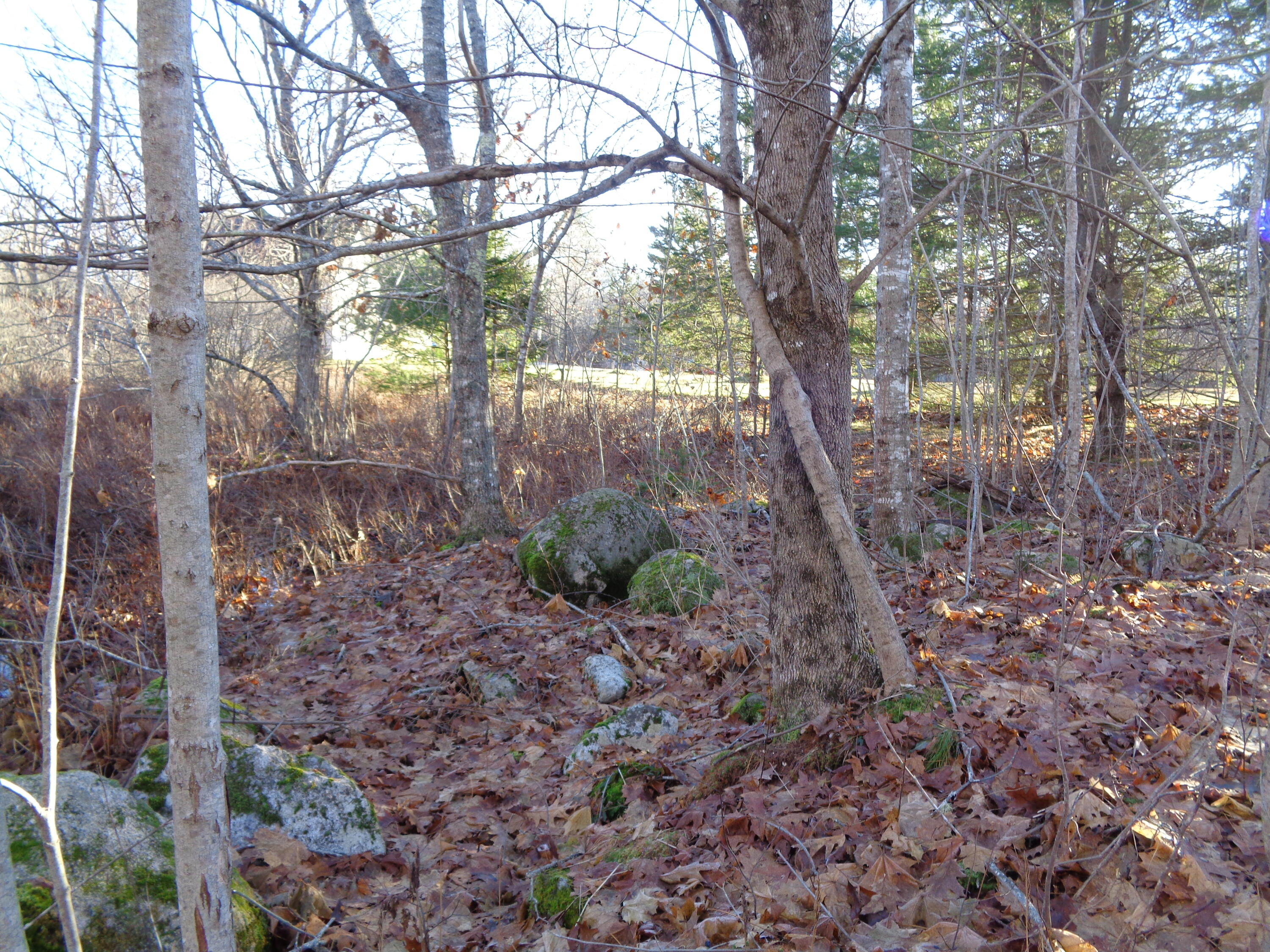 68 Quarry Road Sullivan, ME 04664 - Photo 3 of 16 Vacant lot