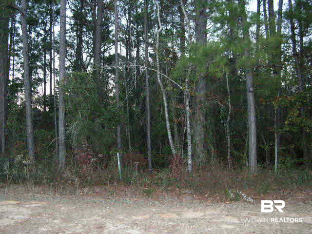 31076 County Road 72 Daphne, AL 36527 - Photo 1 of 1