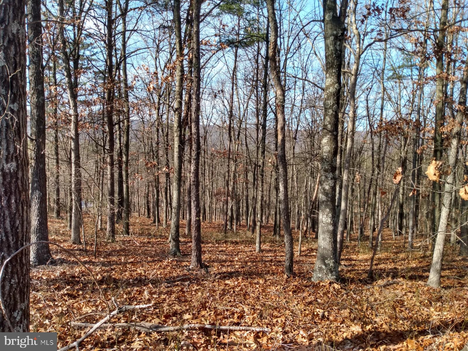 B B Timber Ridge Road Berkeley Springs, WV 25411 - Photo 1 of 5