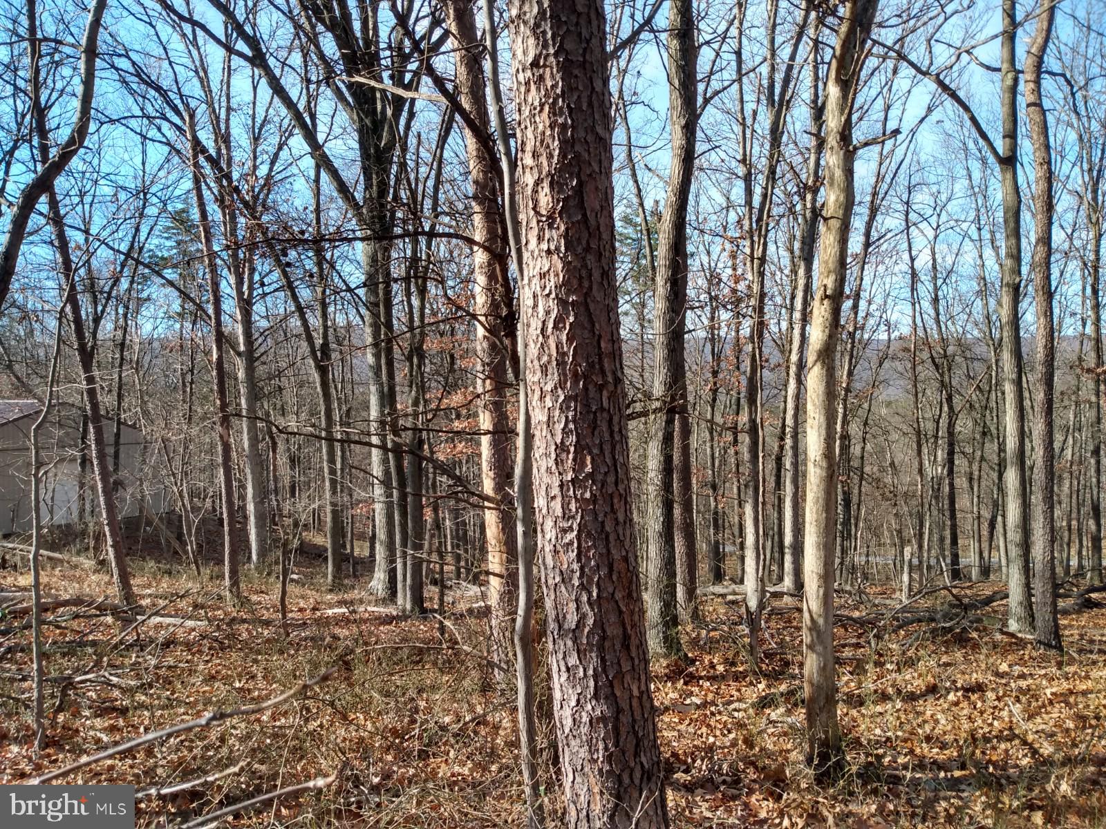 B B Timber Ridge Road Berkeley Springs, WV 25411 - Photo 4 of 5