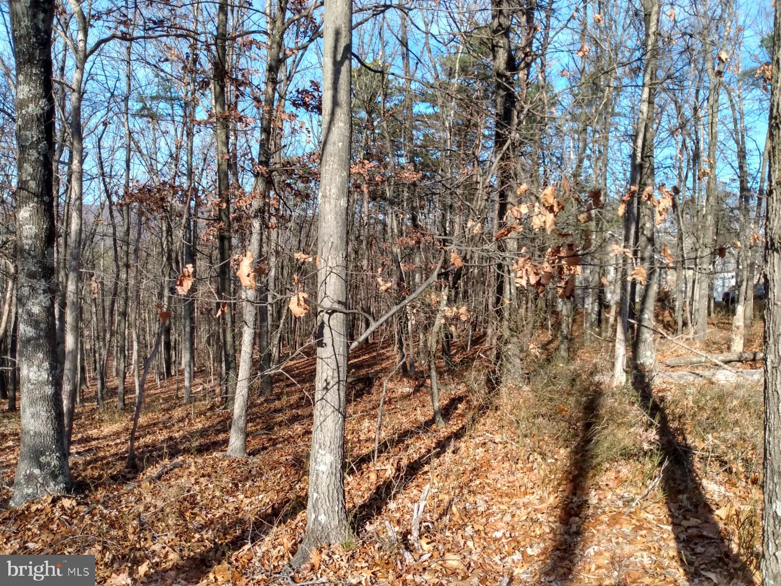 B B Timber Ridge Road Berkeley Springs, WV 25411 - Photo 5 of 5