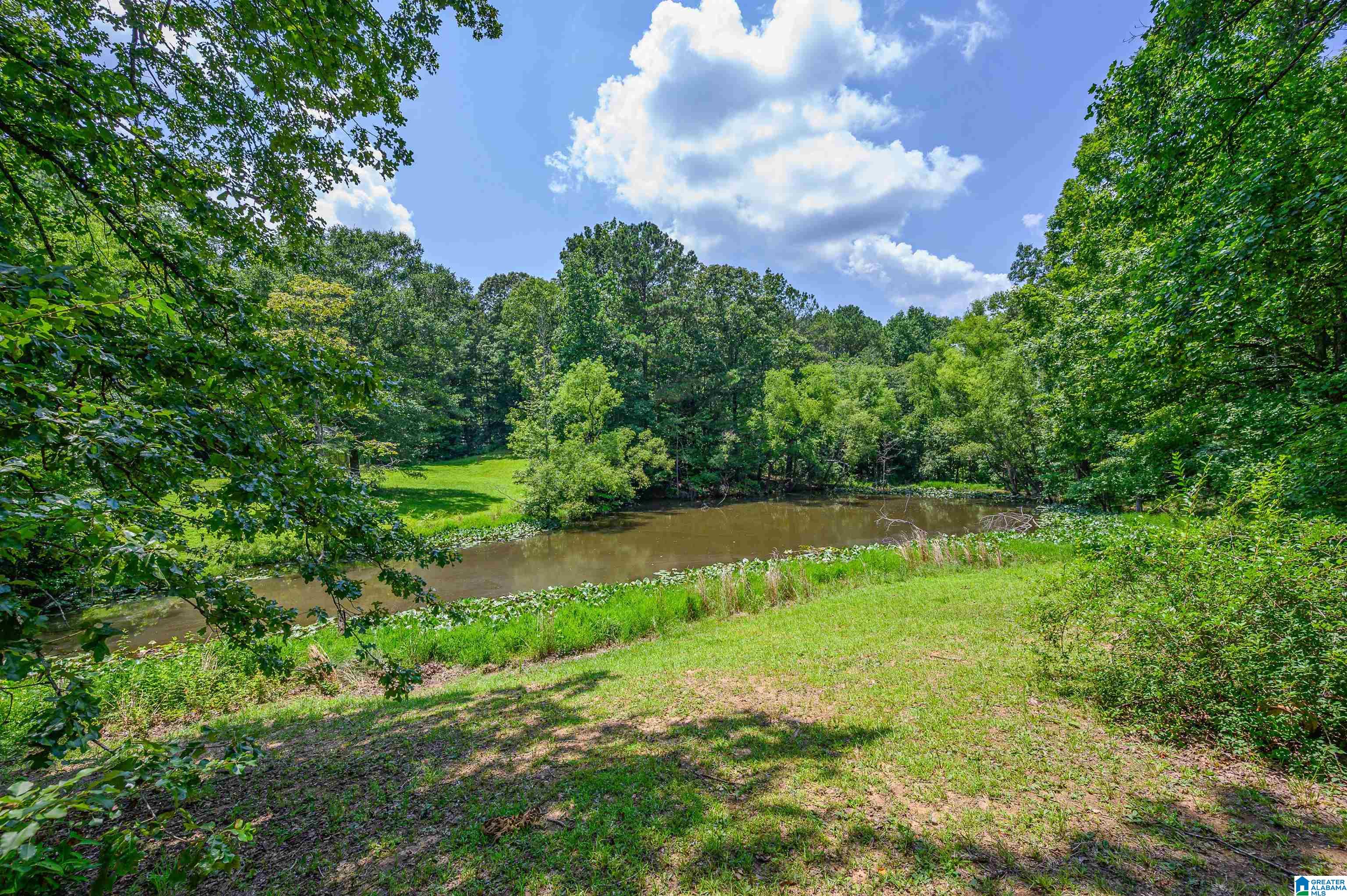 3019 Canterbury Road Moody, AL 35004 - Photo 57 of 68