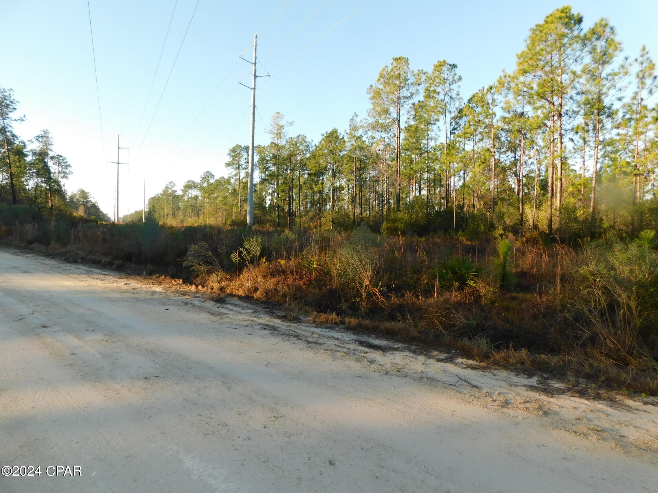 0 Barnes Road Fountain, FL 32438 - Photo 1 of 12 Gallery Image 1
