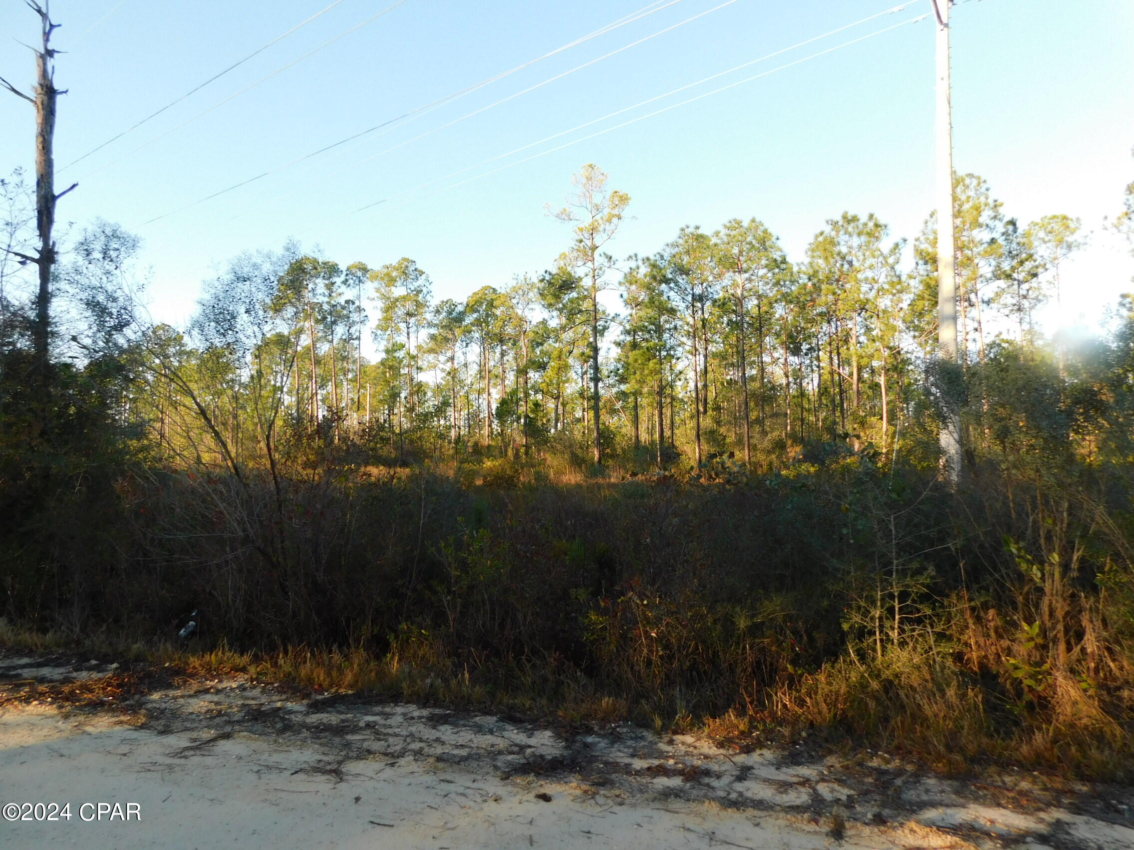 0 Barnes Road Fountain, FL 32438 - Photo 11 of 12 Gallery Image 11