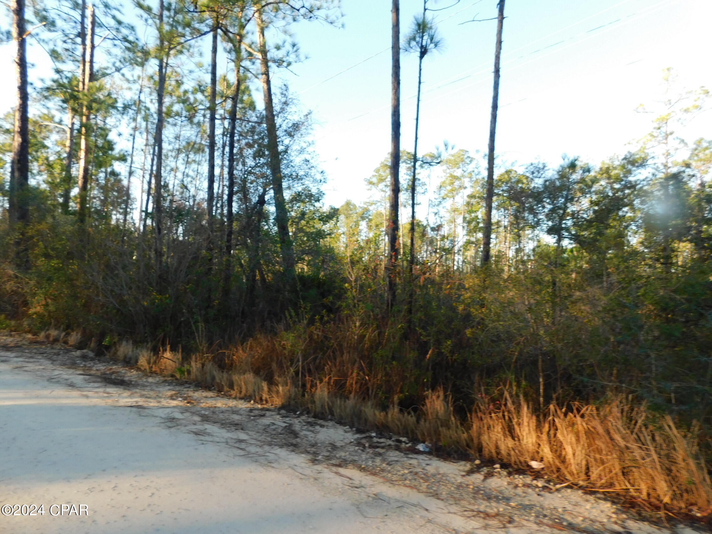 0 Barnes Road Fountain, FL 32438 - Photo 9 of 12 Gallery Image 9