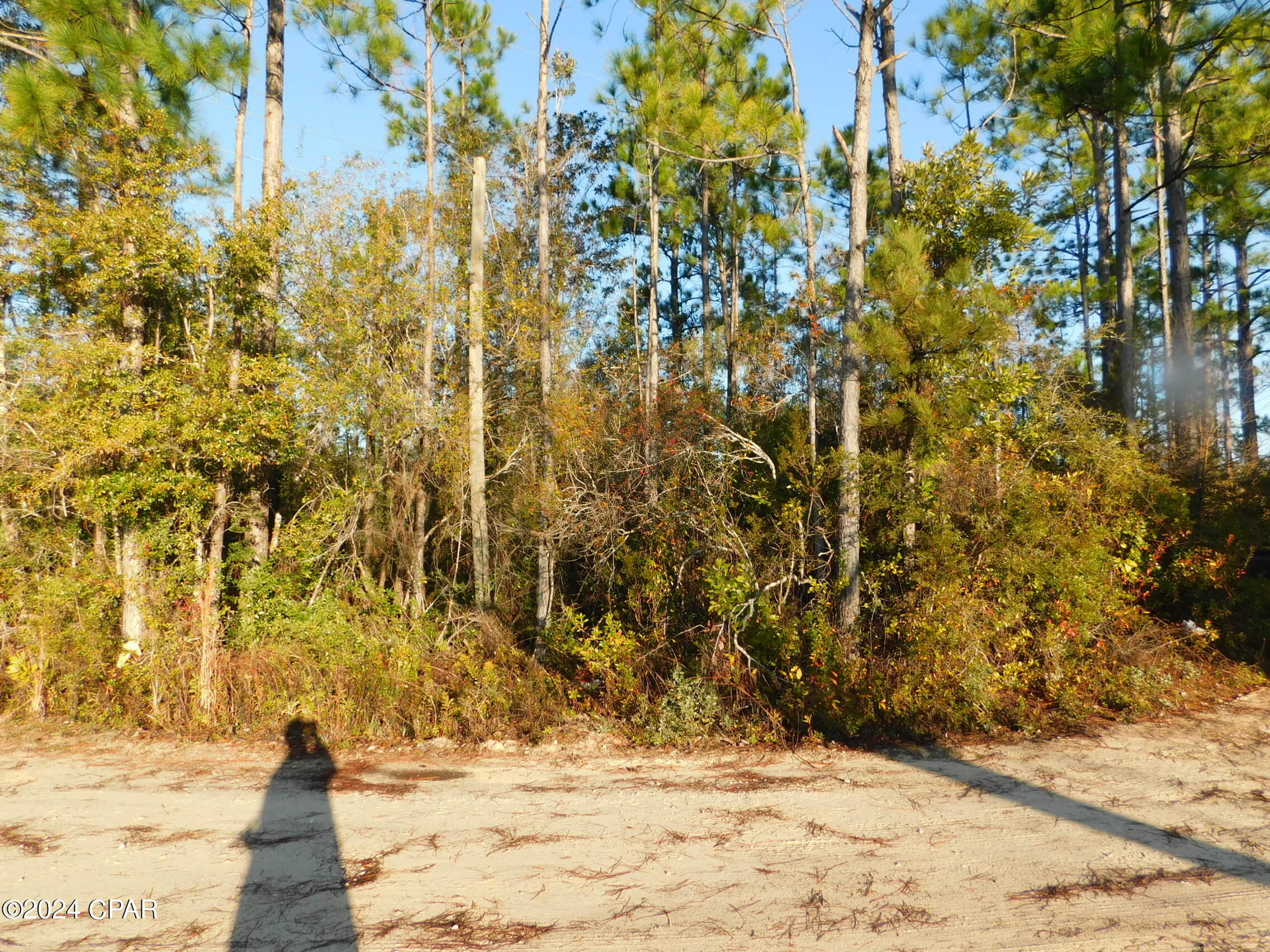 0 Barnes Road Fountain, FL 32438 - Photo 10 of 12 Gallery Image 10