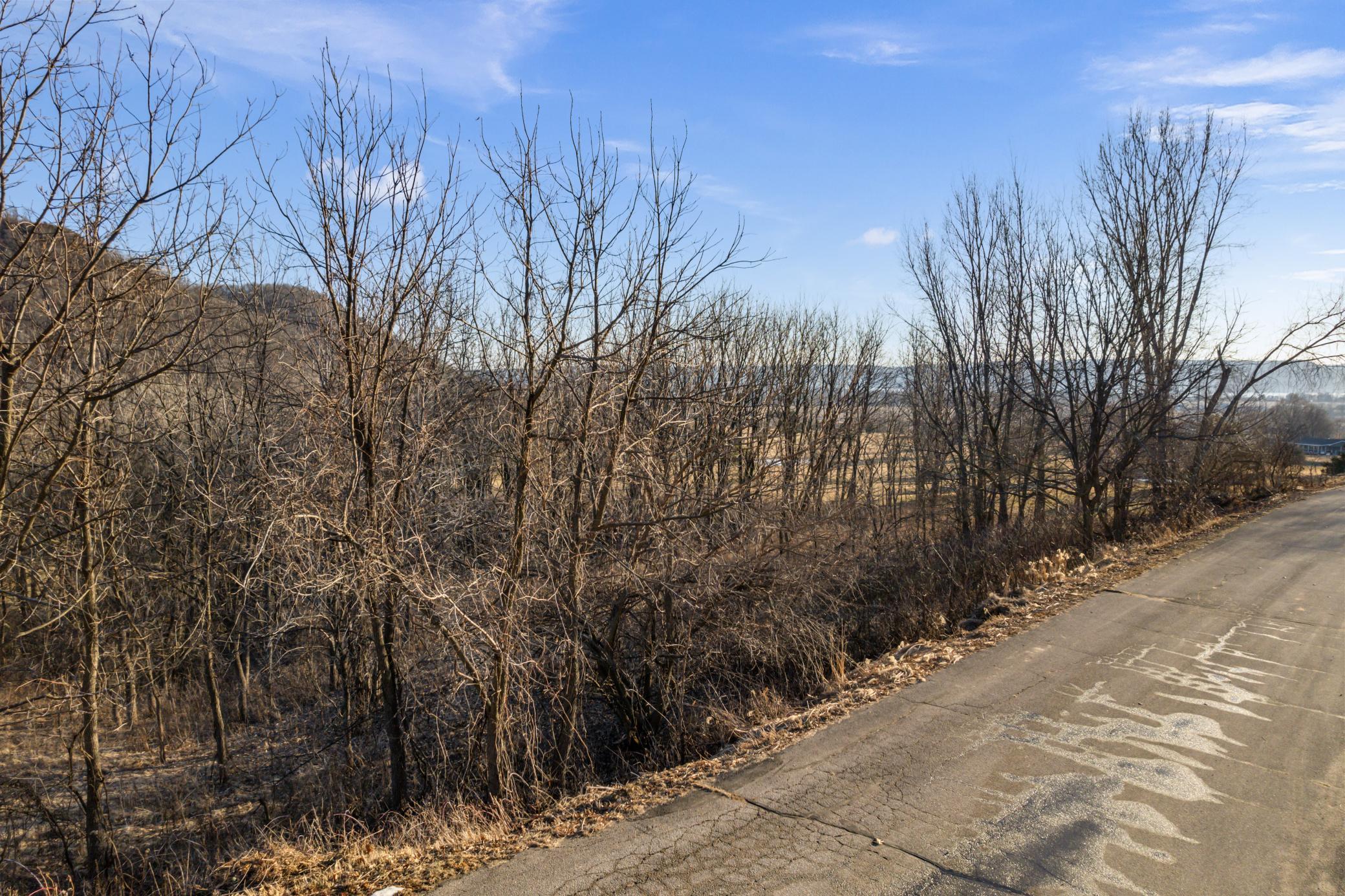 X Golf View Road Cochrane, WI 54622 - Photo 12 of 14