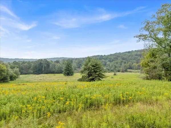 $359,900 | 1668 Highway 41, Afton, NY 13730