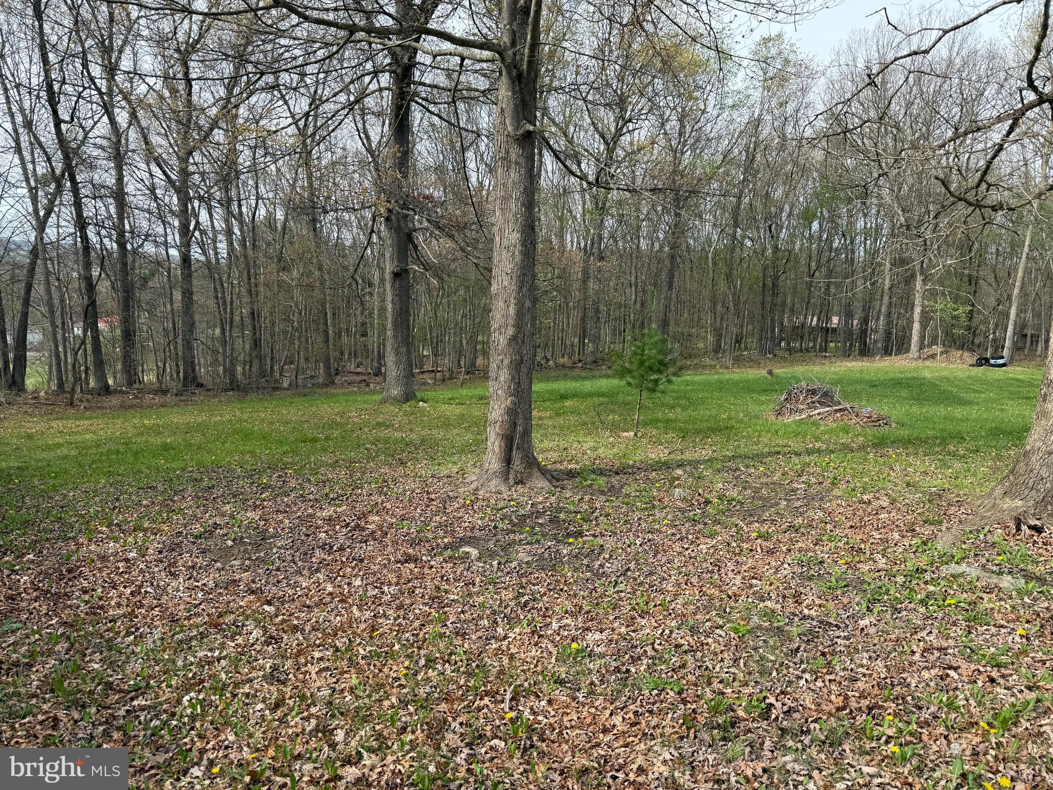 142 Matthew Road Oakland, MD 21550 - Photo 1 of 5 Gallery Image 1
