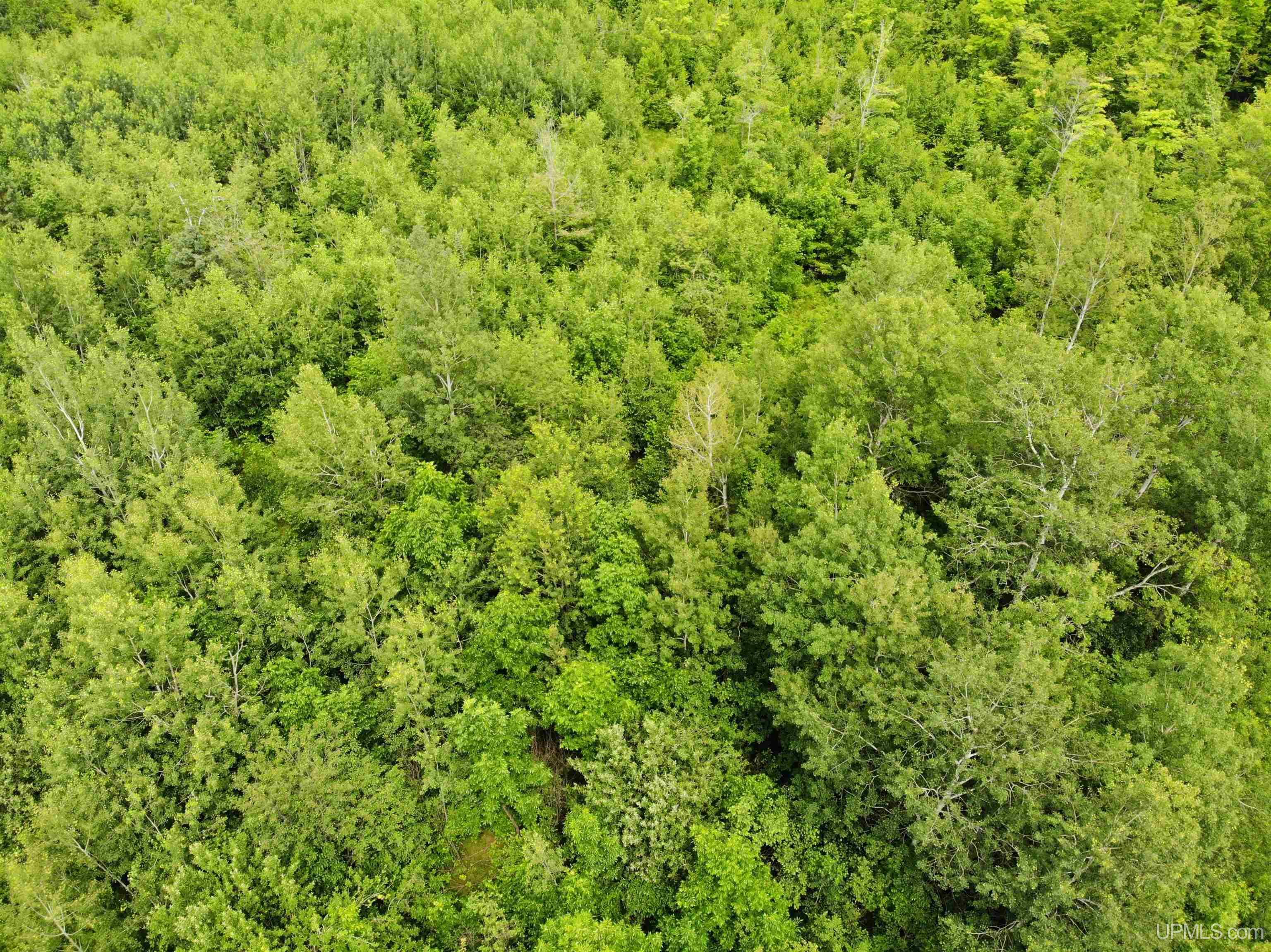 24399 Hillside Road Covington, MI 49919 - Photo 40 of 48