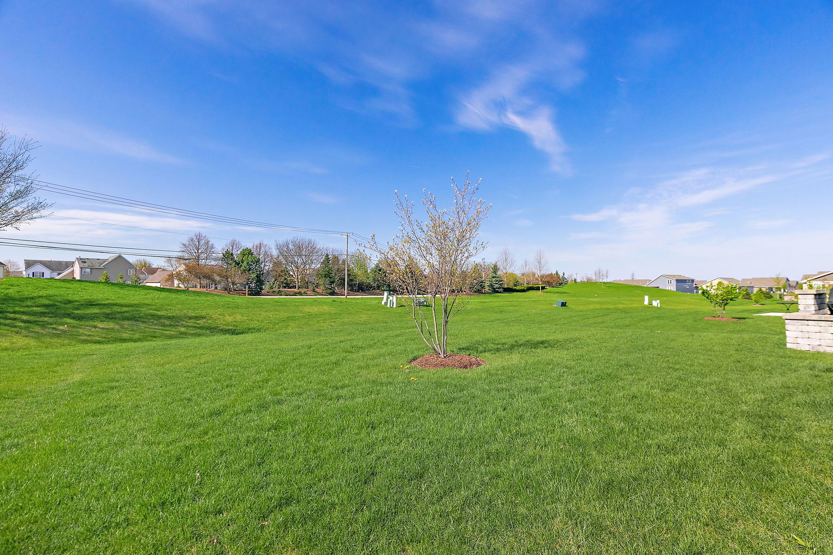 979 Crestview Lane Pingree Grove, IL 60140 - Photo 23 of 24