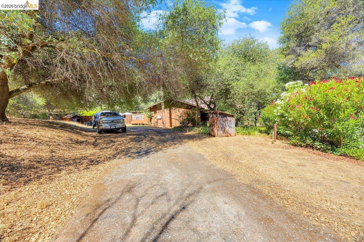 8733 Fraguero Road Sonora, CA 95370 - Photo 65 of 73 Gravel driveway winding through mature trees and lush landscaping
