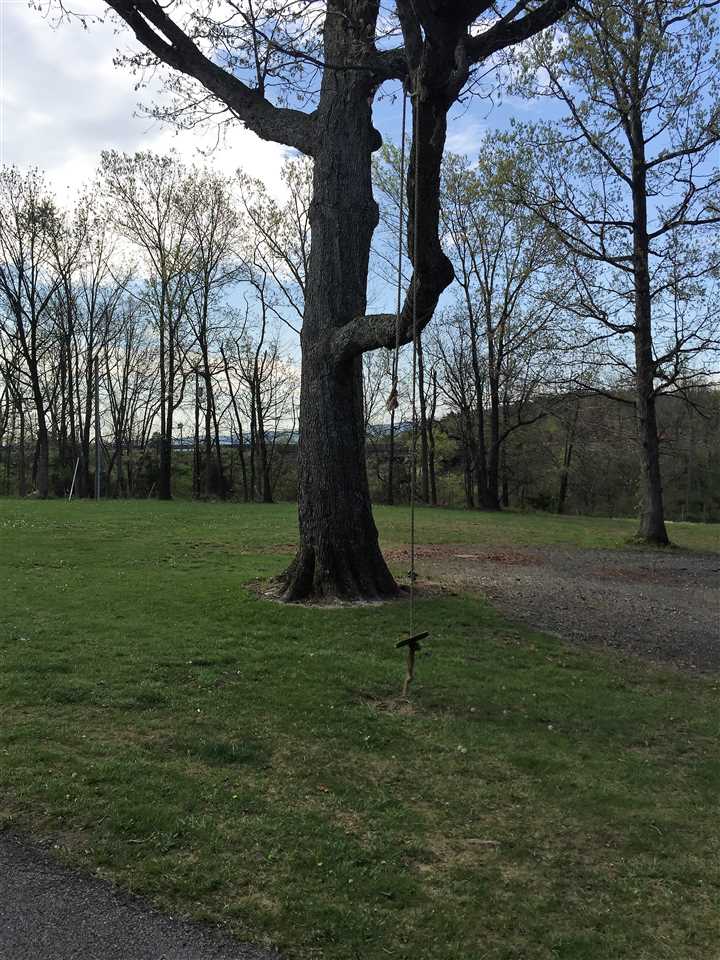 34 Swartzel Shop Road Staunton, VA 24401 - Photo 14 of 47 a view of a park