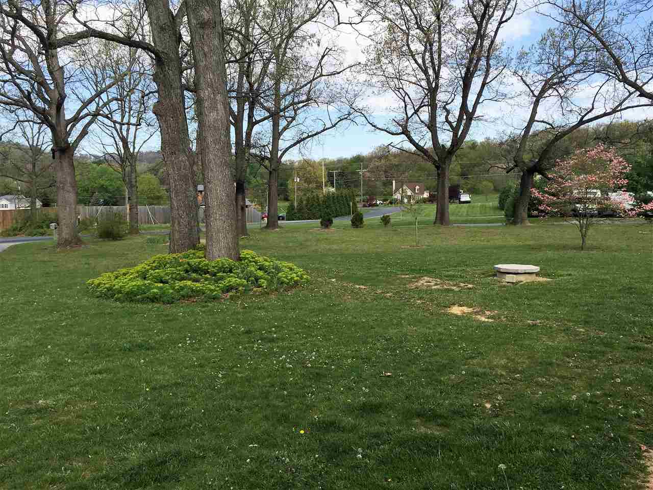 34 Swartzel Shop Road Staunton, VA 24401 - Photo 47 of 47 a view of backyard with large trees